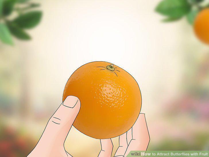 Step 5