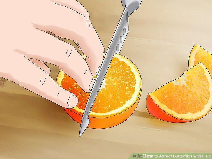 Step 6