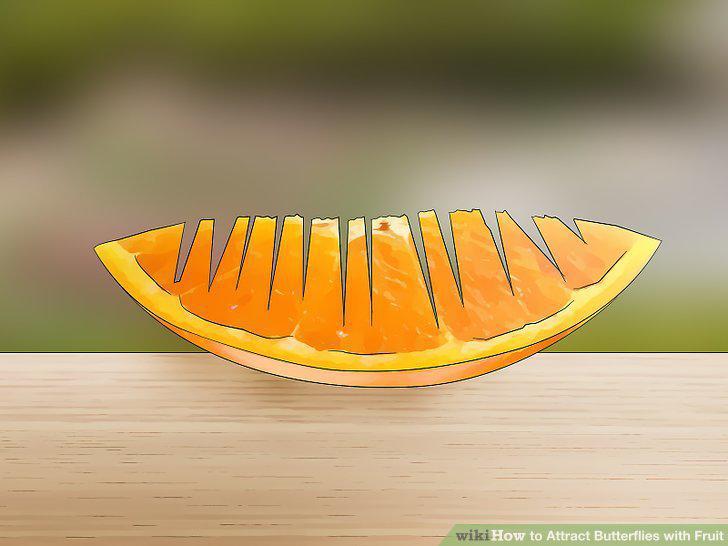 Step 7