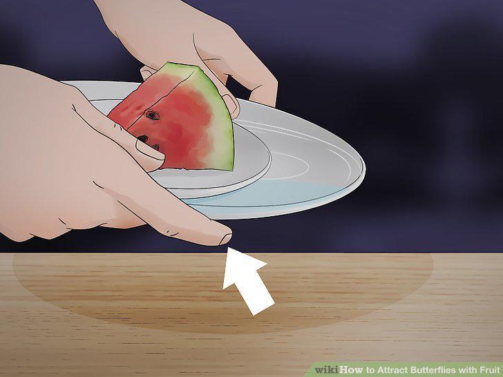 Step 8