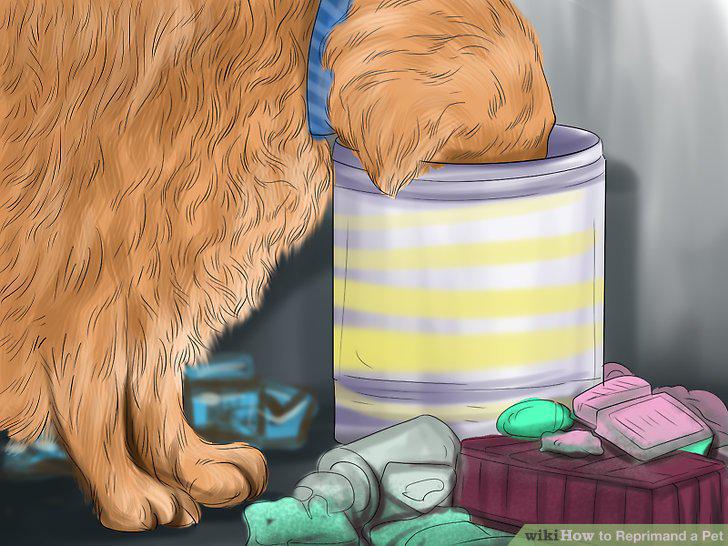 Step 11