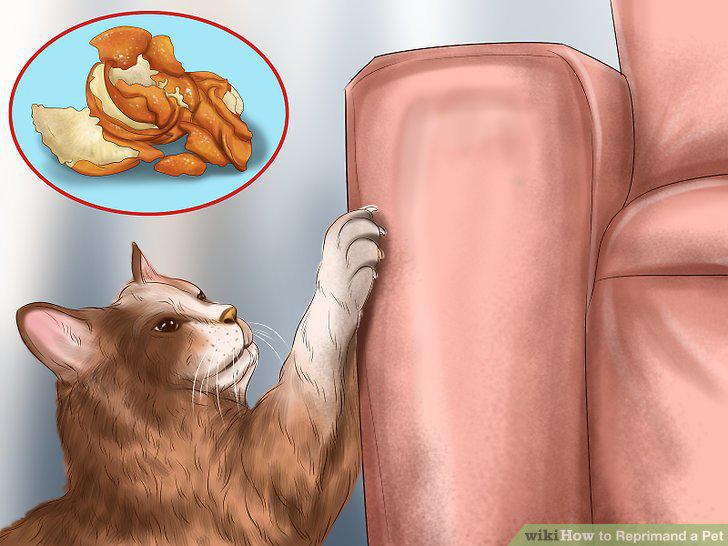 Step 12