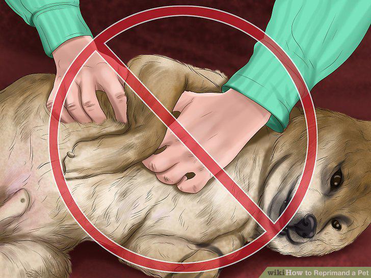 Step 10