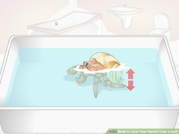 Step 3