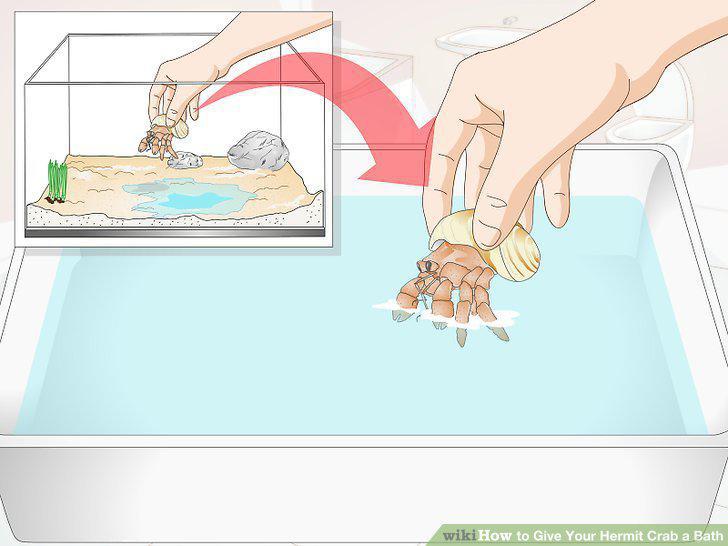 Step 5
