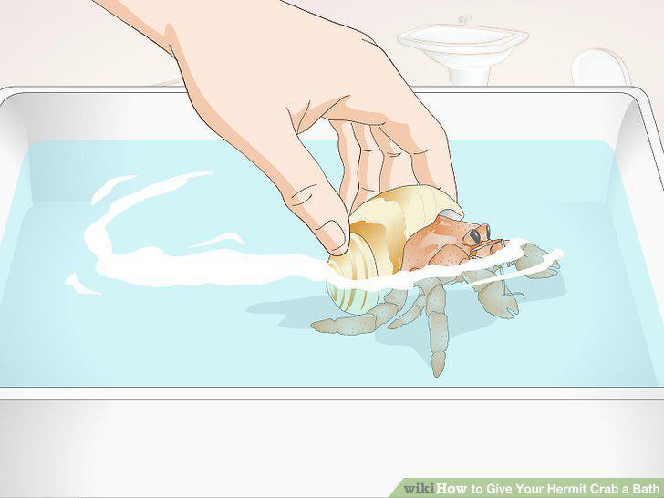 Step 6