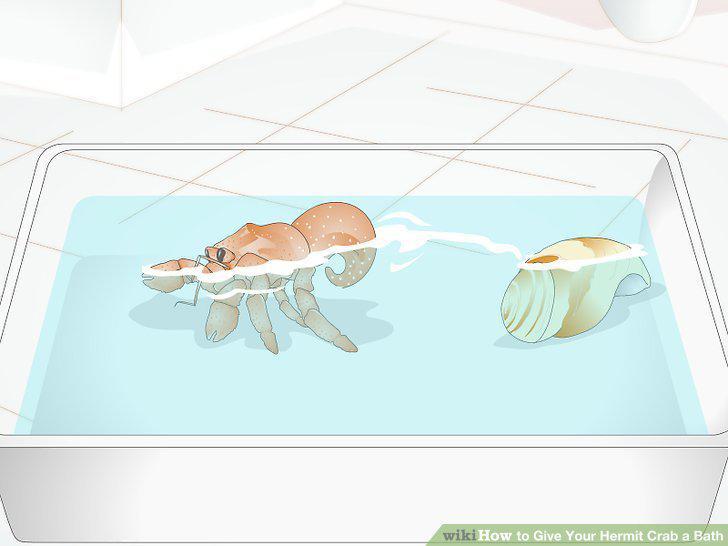 Step 7