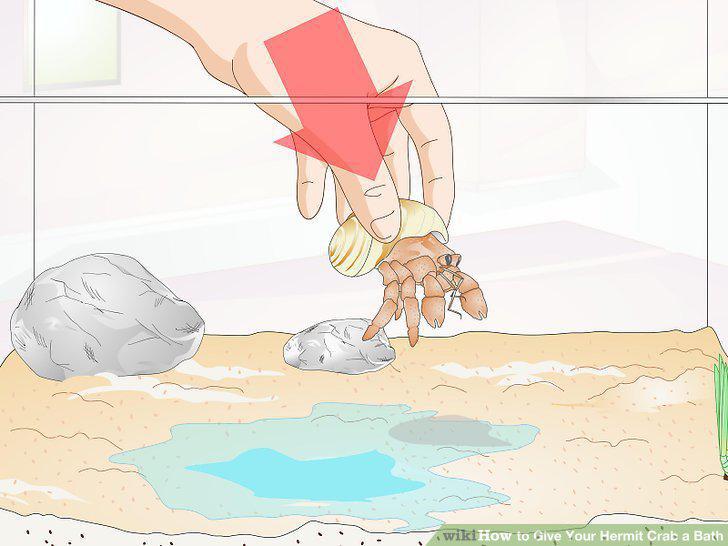 Step 8