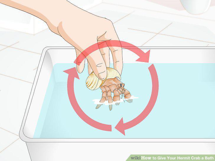 Step 9