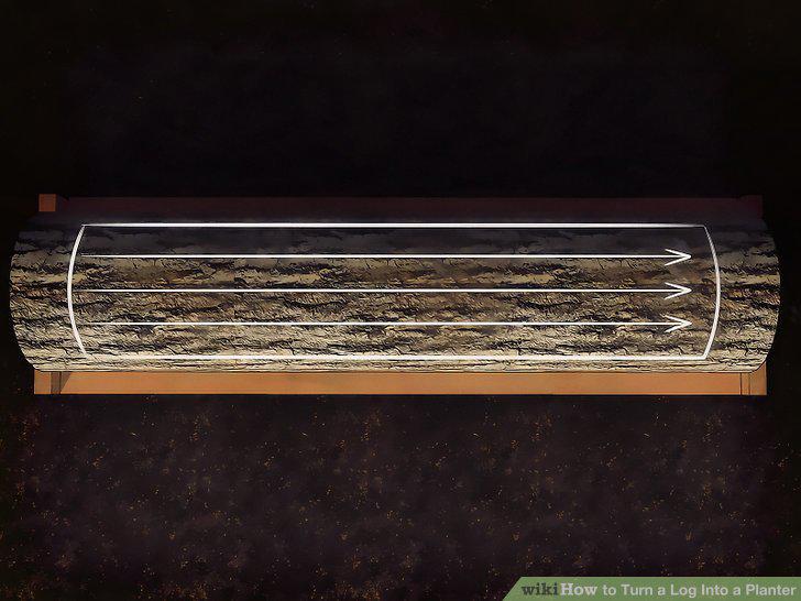 Step 11