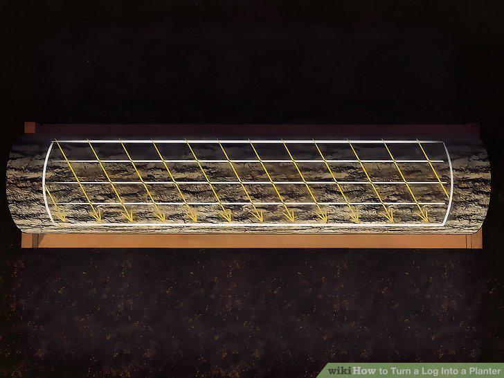Step 12