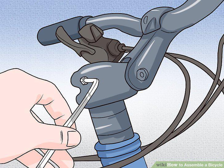 Step 12