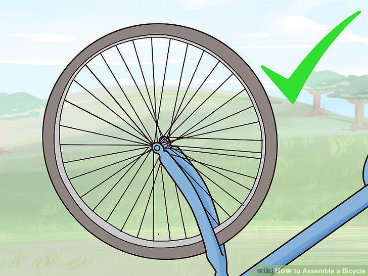 Step 13