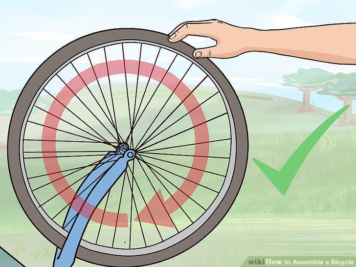 Step 15