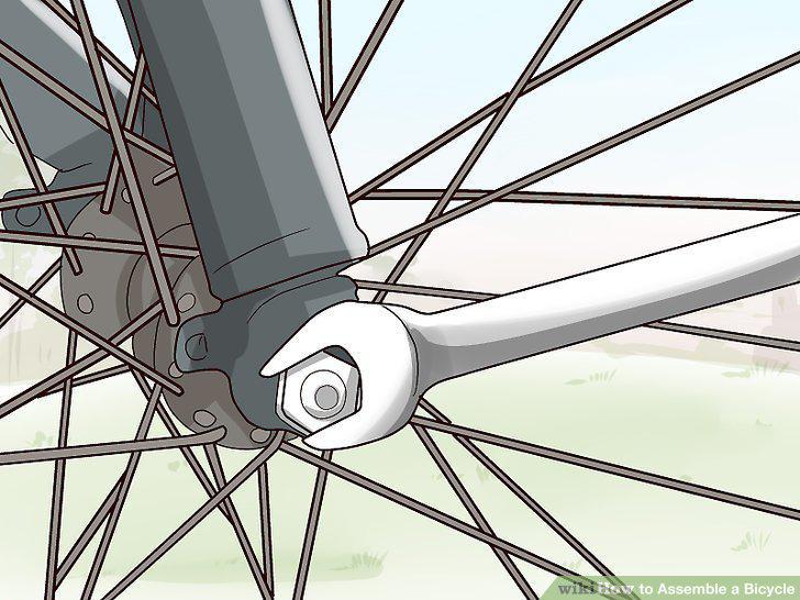 Step 16