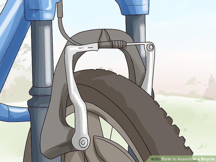Step 19