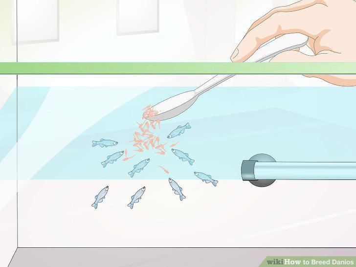Step 11