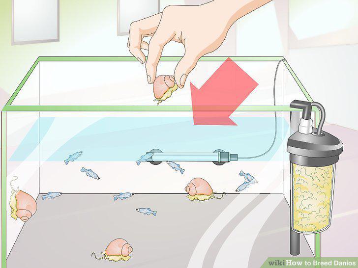 Step 12