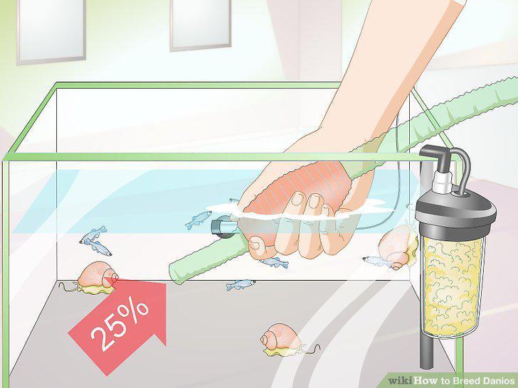 Step 13