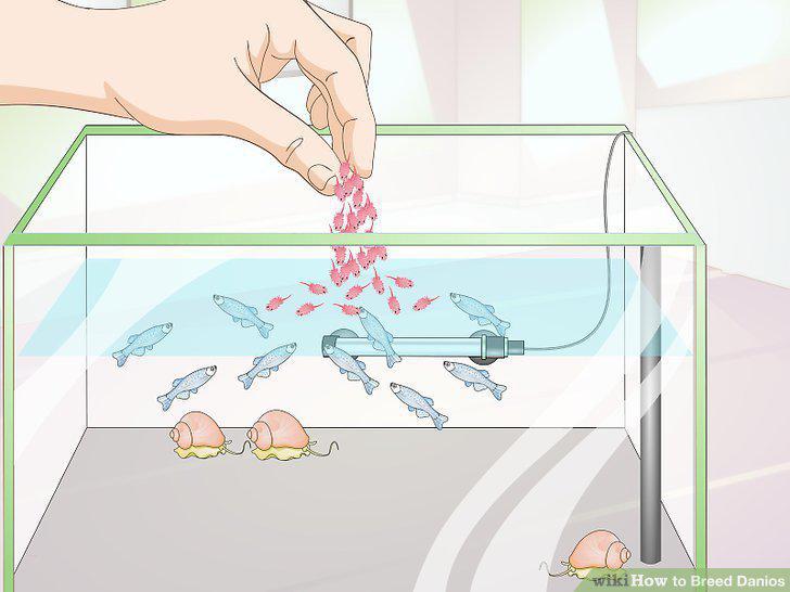 Step 14