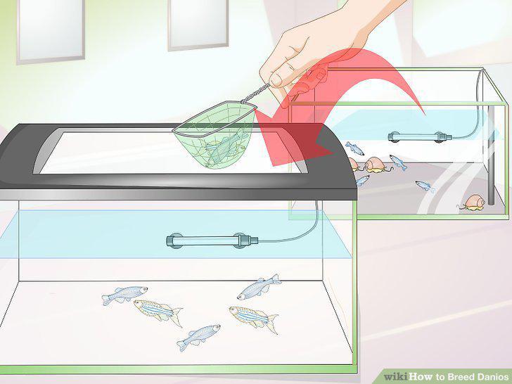 Step 15