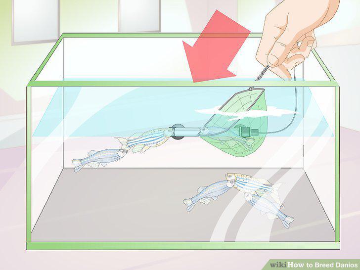 Step 4