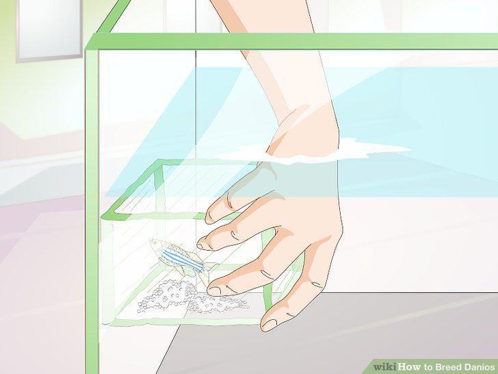 Step 7