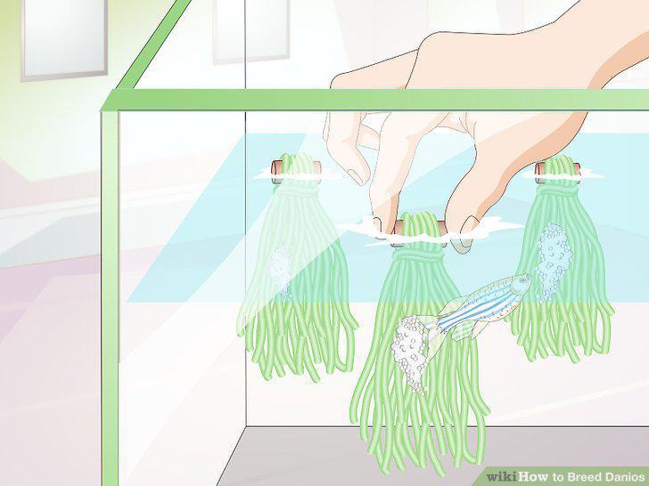 Step 8