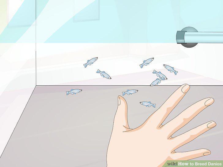 Step 10