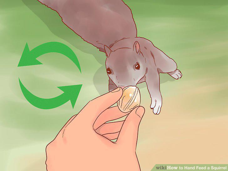 Step 11