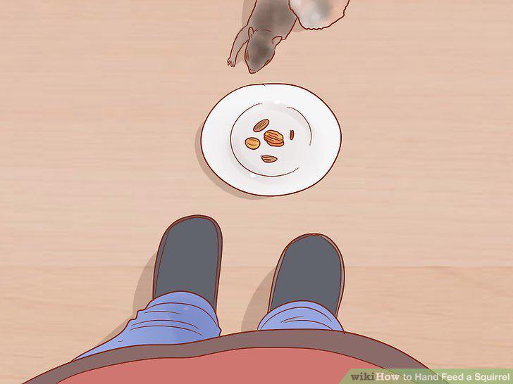 Step 5