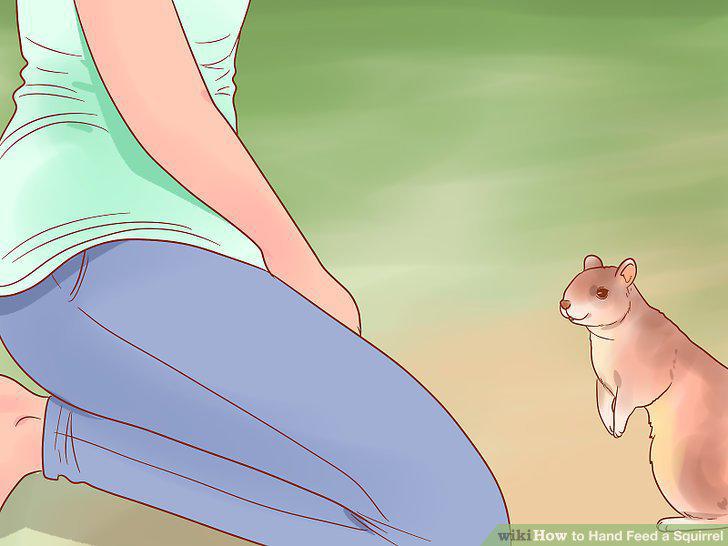 Step 8