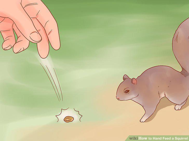 Step 9