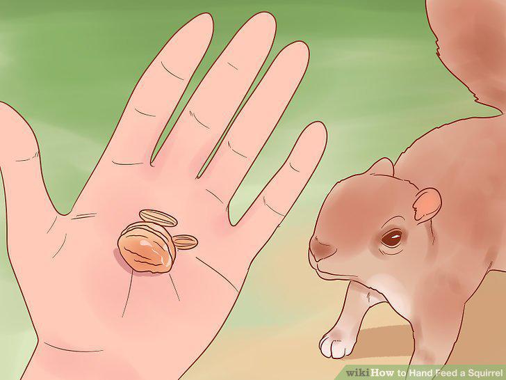 Step 10