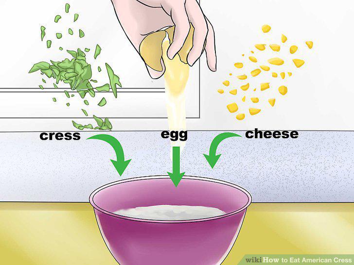 Step 11