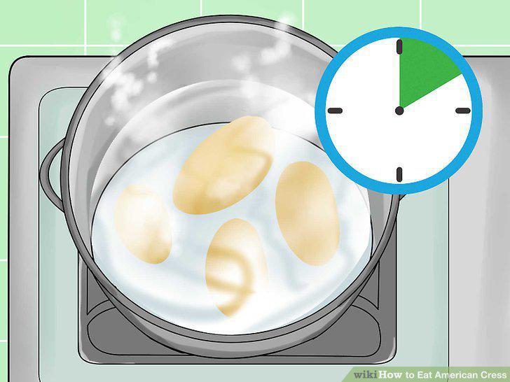 Step 13
