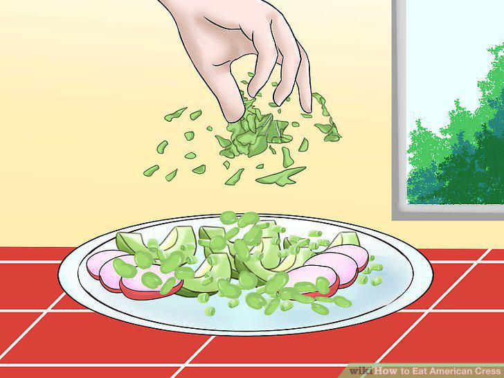 Step 7