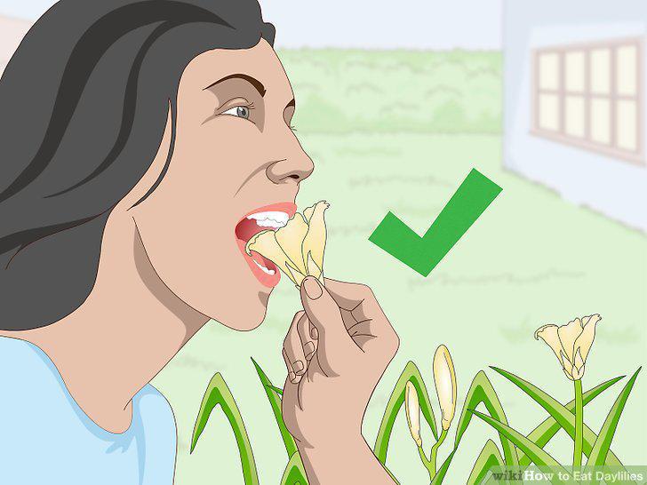 Step 11
