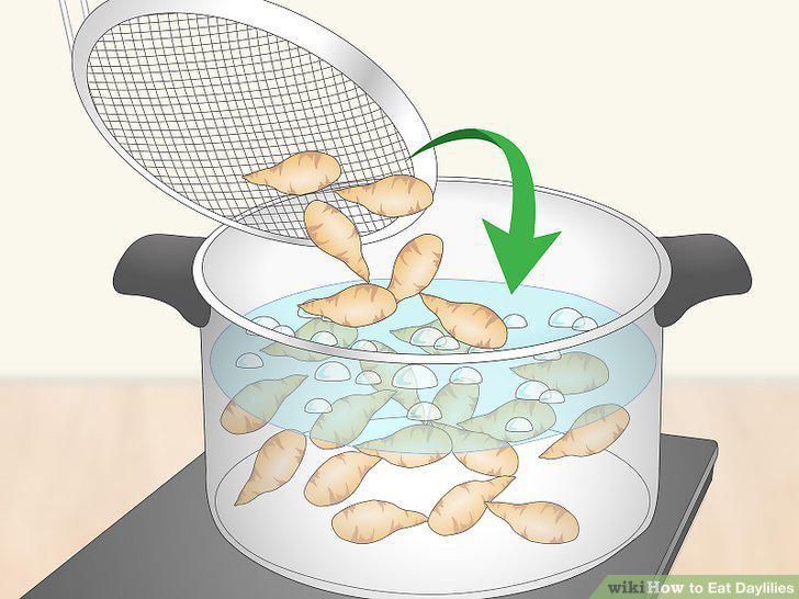 Step 6