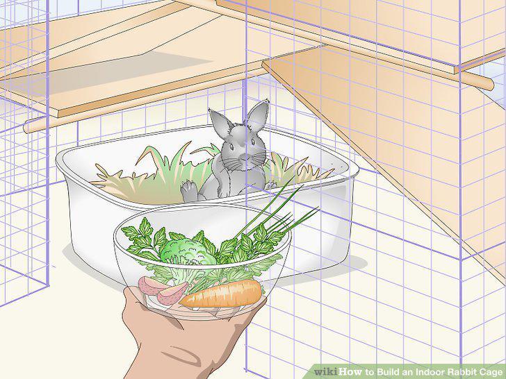 Step 13