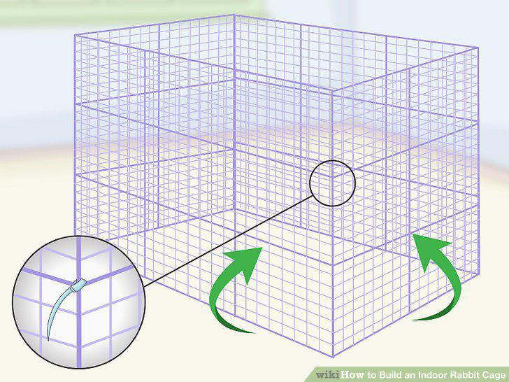 Step 5