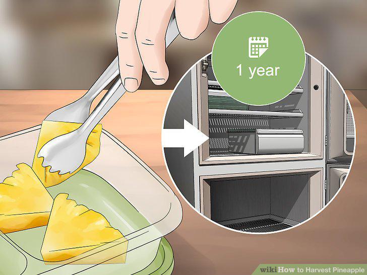 Step 13