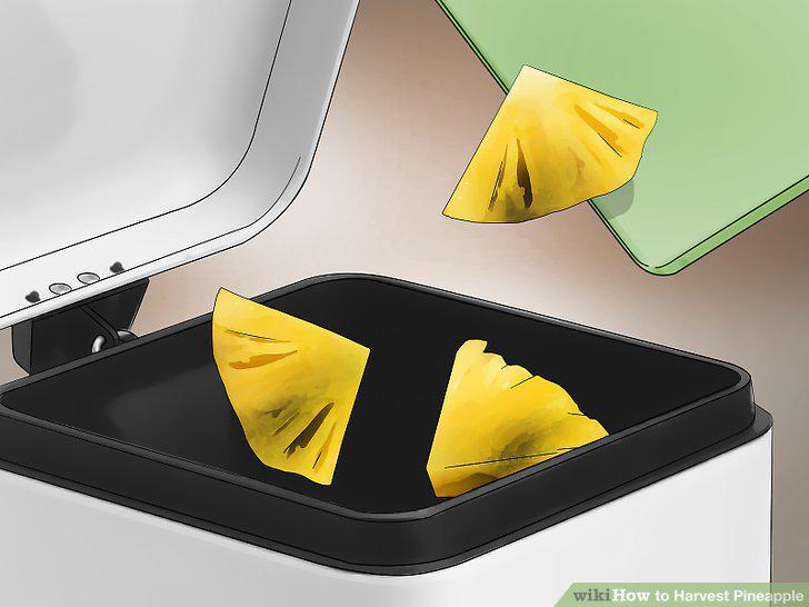 Step 14