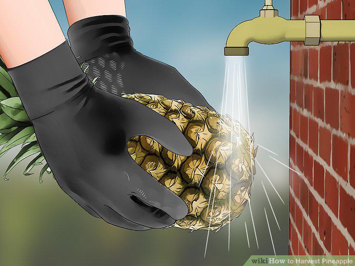 Step 10