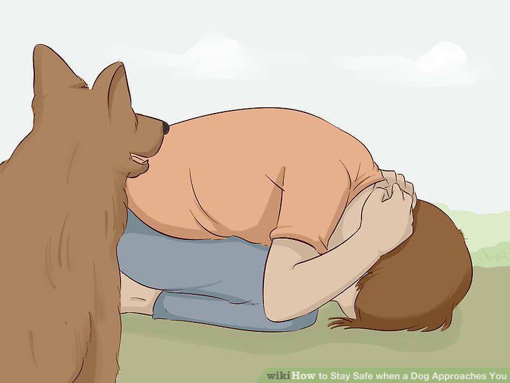 Step 11