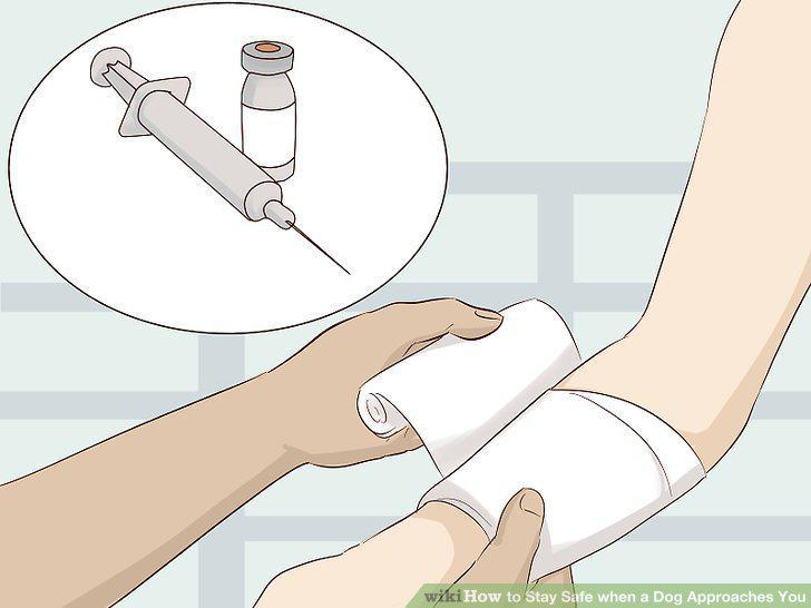 Step 13