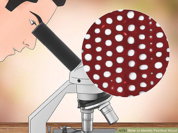Step 5