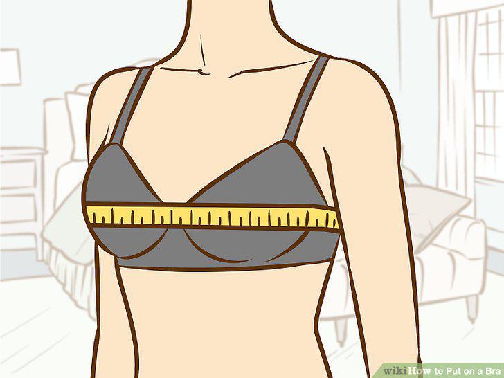 Step 15