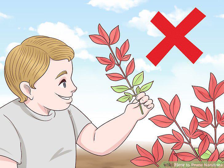 Step 2