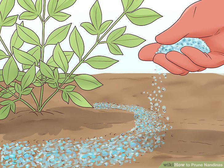 Step 11